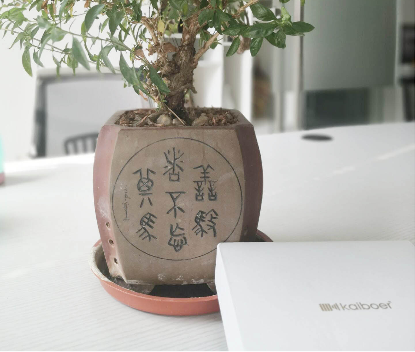 開博爾